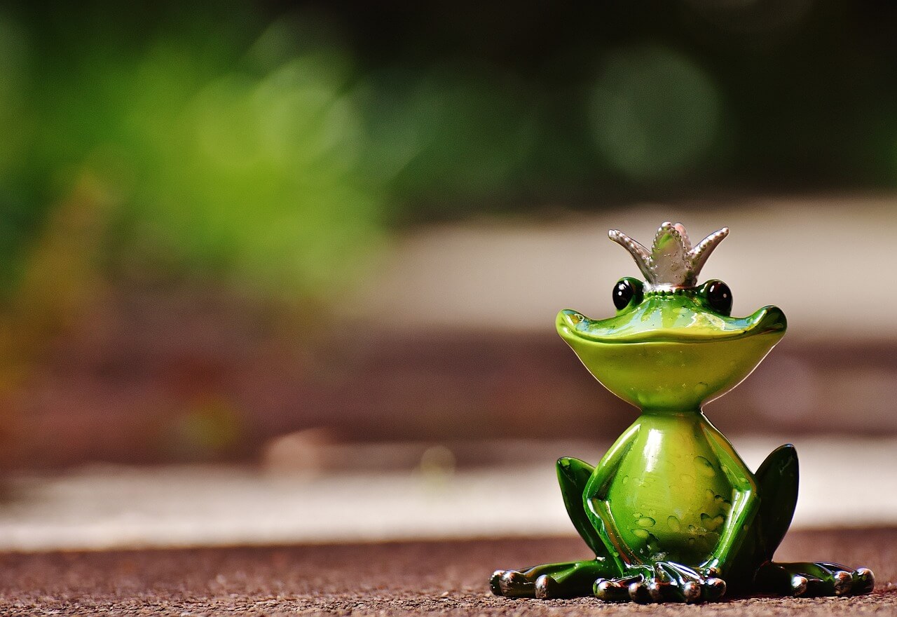 Einladung zum Weihnachtsmärchen 2025 „Der Froschkönig“